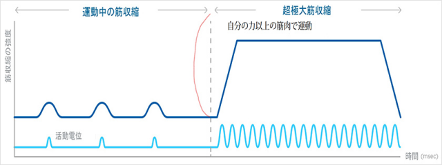 野木町　骨盤底筋