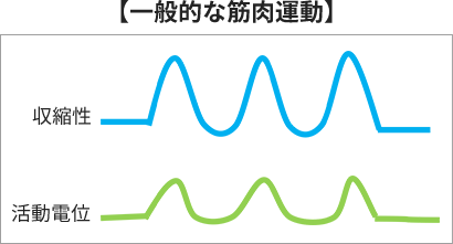 幸手　骨盤底筋