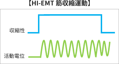 筑西　骨盤底筋